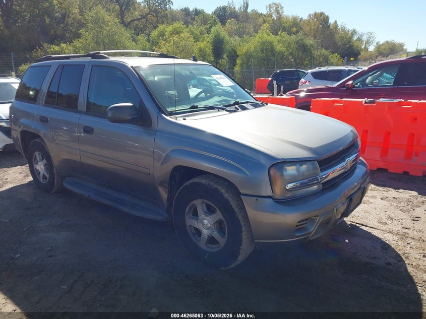 2006 CHEVROLET TRAILBLAZER LS | 1GNDT13S662219691 | UPCARS
