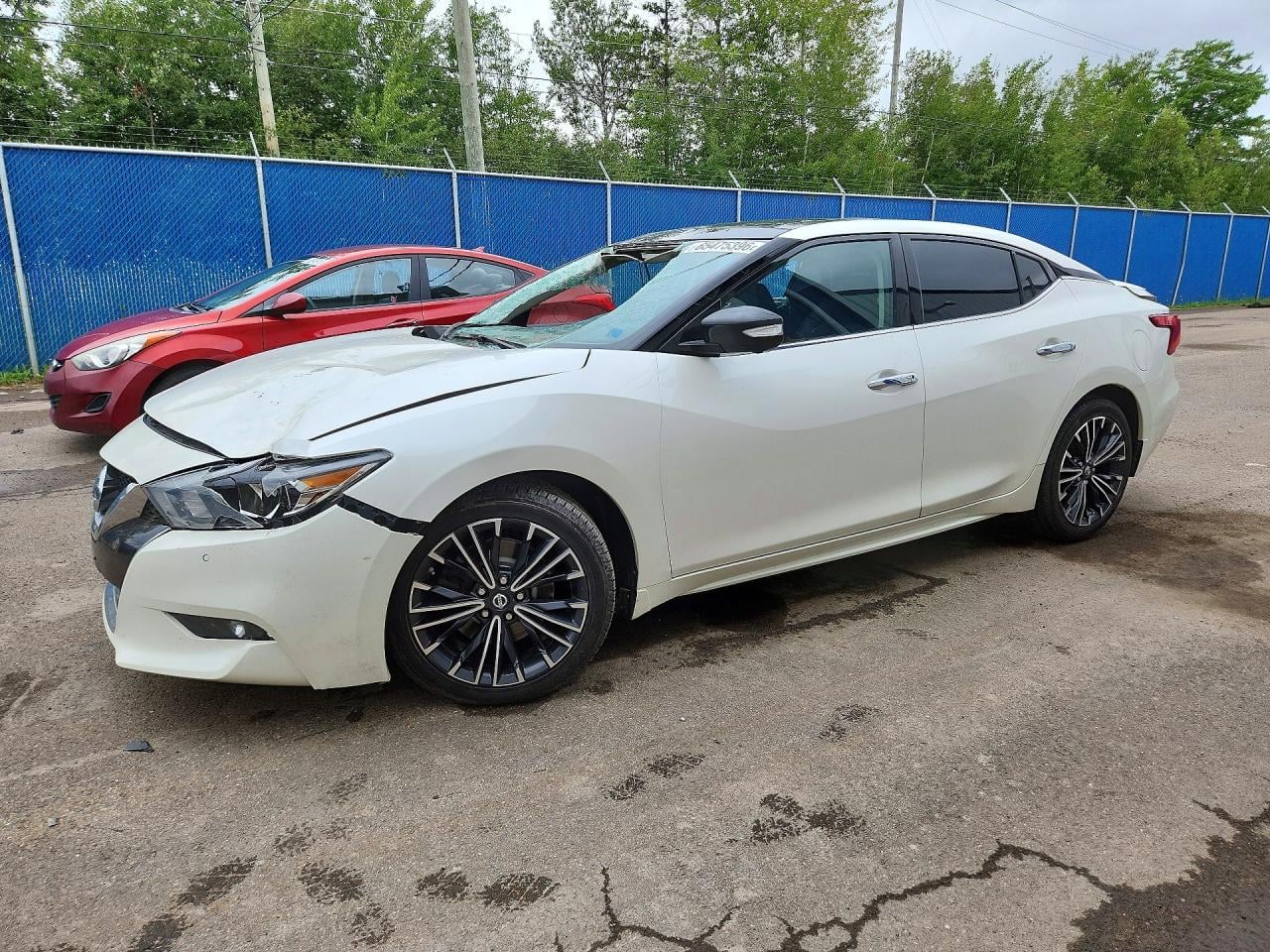 2016 NISSAN MAXIMA 3.5 PLATINUM | 1N4AA6AP4GC381267 | UPCARS