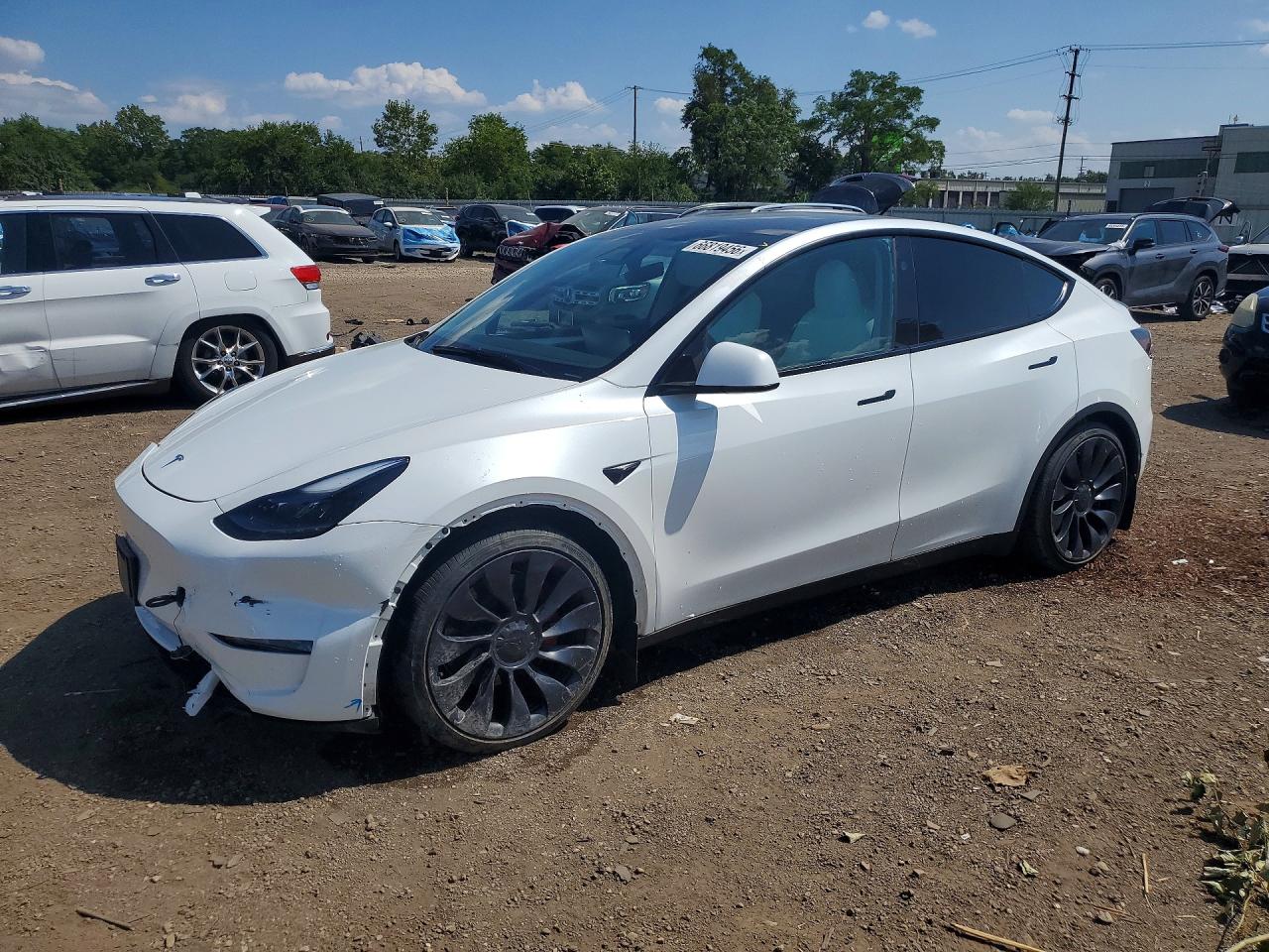 2024 TESLA MODEL Y | 7SAYGDEF3RA299243 | UPCARS