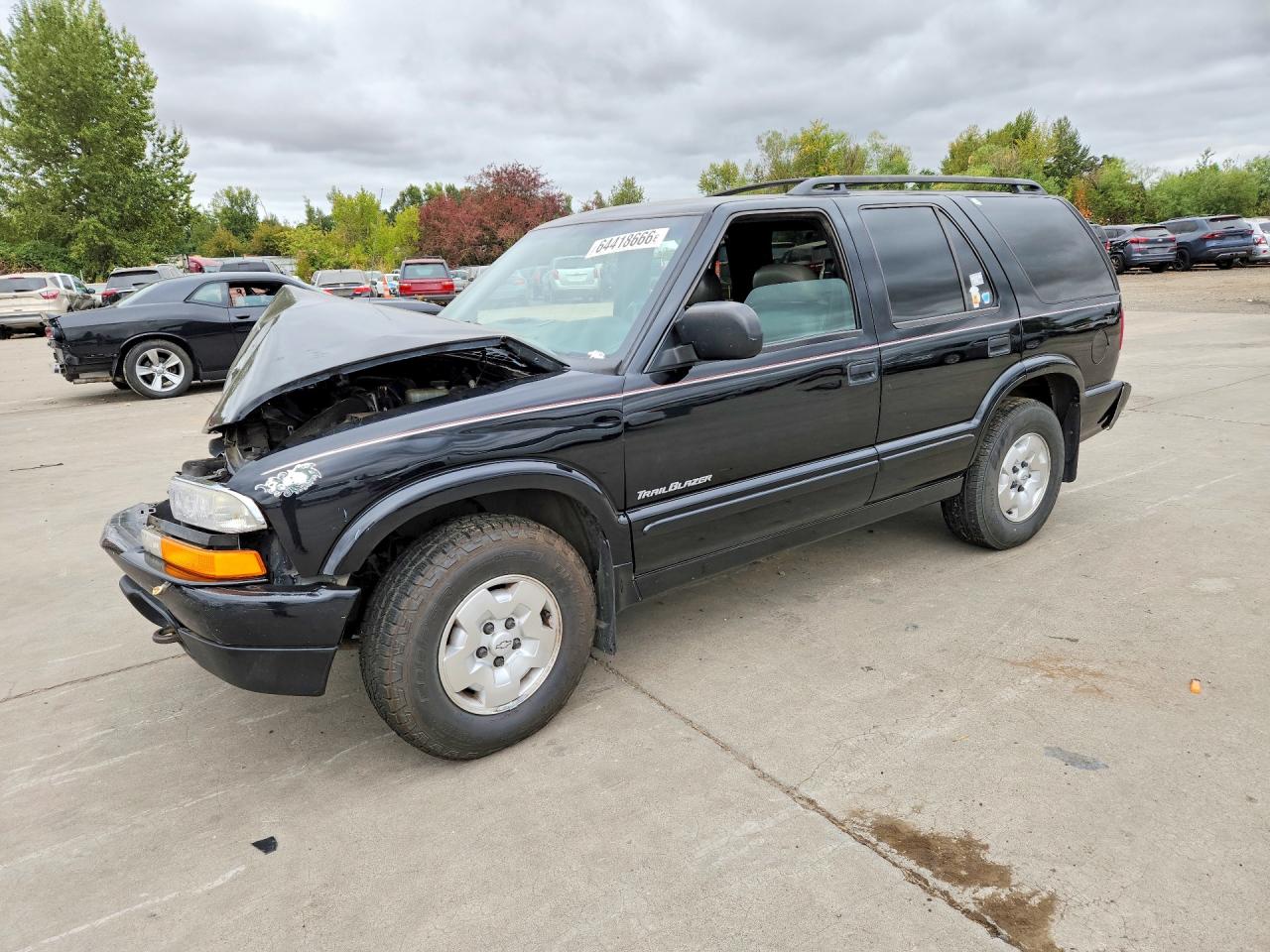 2001 CHEVROLET BLAZER | 1GNDT13W412223802 | UPCARS