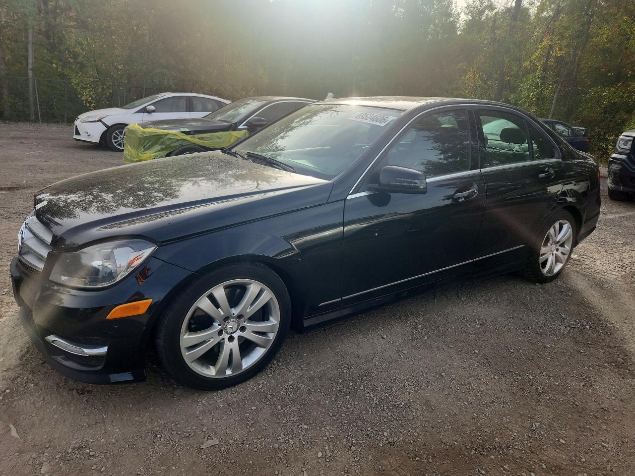 2013 MERCEDES-BENZ C-CLASS 300 4MATIC | WDDGF8AB0DA877203 | UPCARS