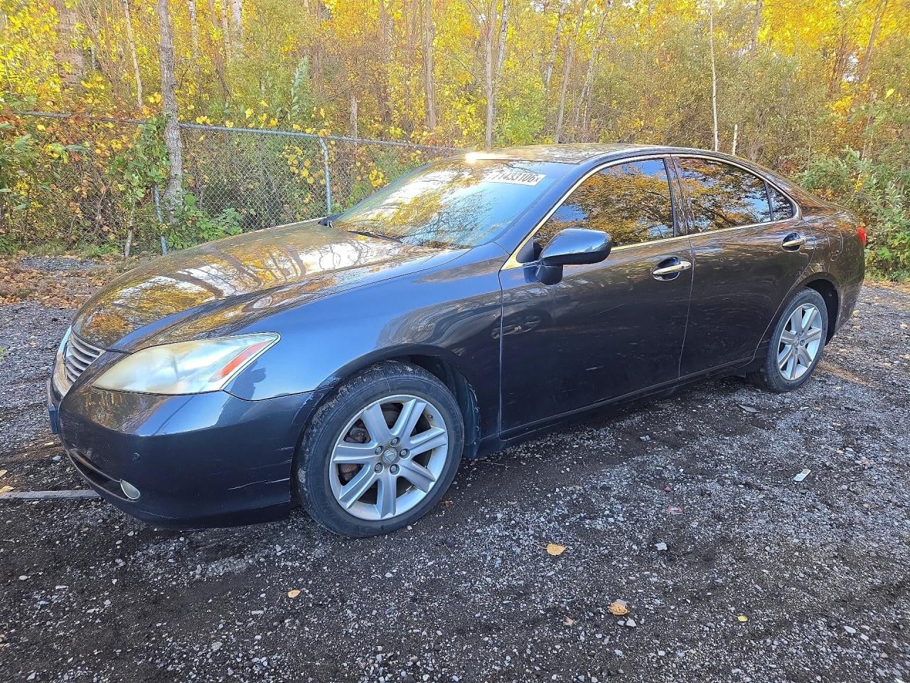 2008 LEXUS ES 350 | JTHBJ46G182187166 | UPCARS