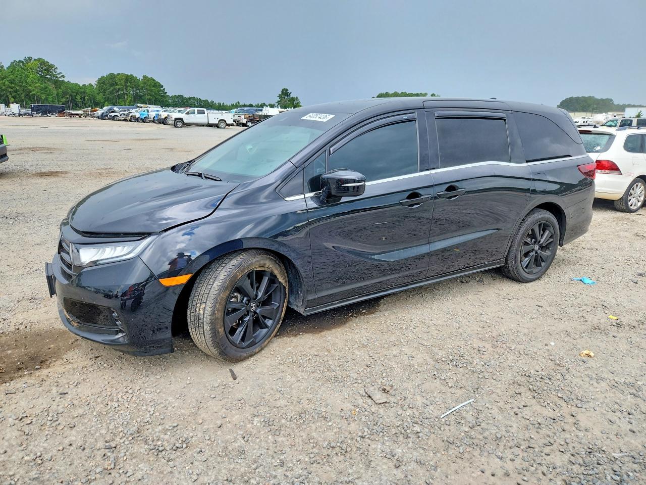 2024 HONDA ODYSSEY SPORT | 5FNRL6H70RB004602 | UPCARS