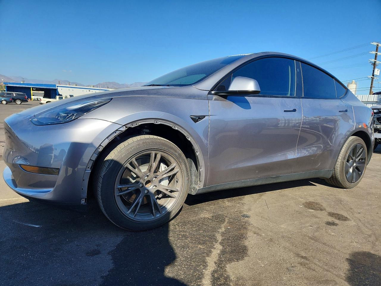 2025 TESLA MODEL Y | 7SAYGDED9SF242133 | UPCARS