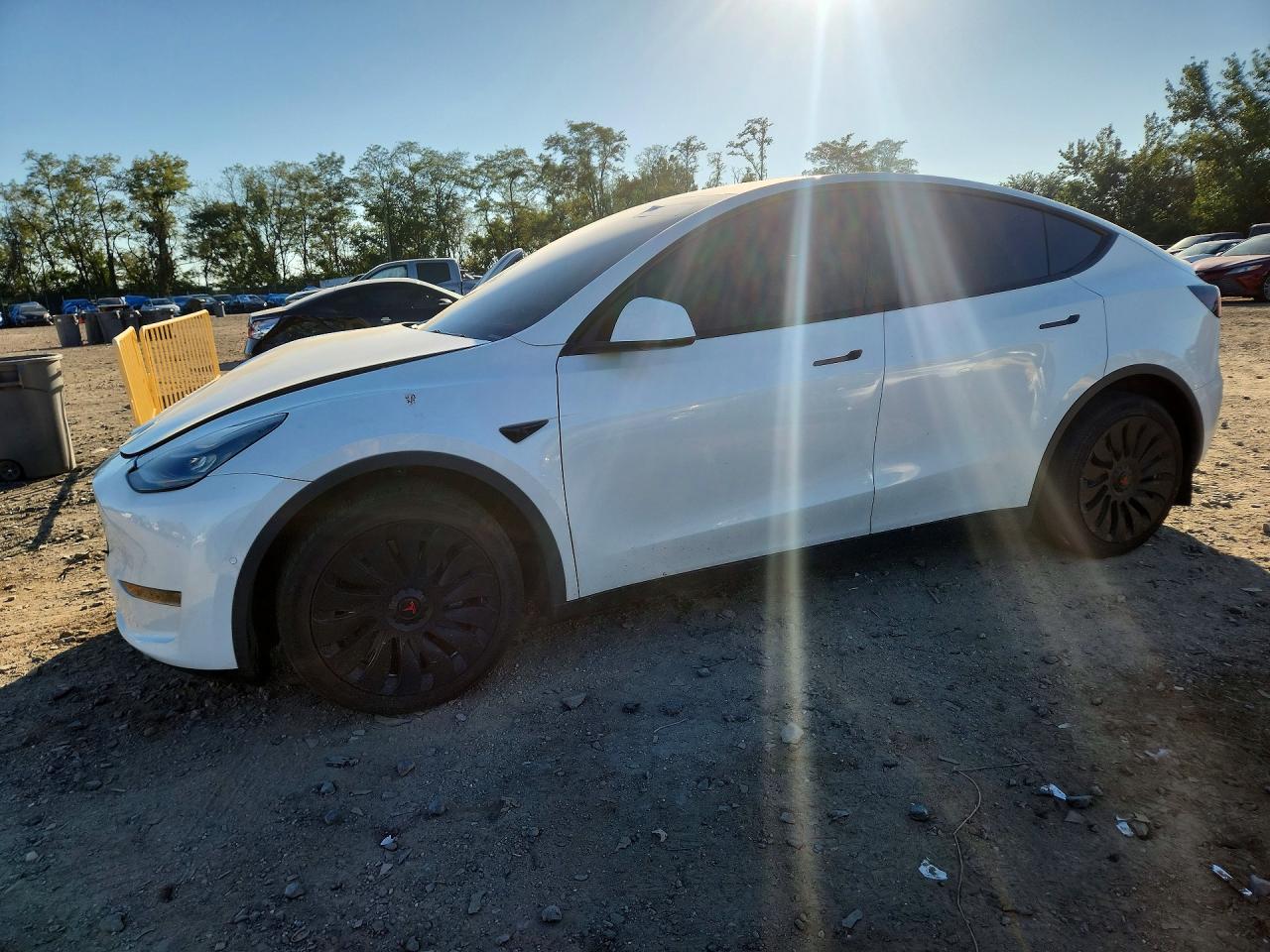 2021 TESLA MODEL Y | 5YJYGDEE6MF198648 | UPCARS