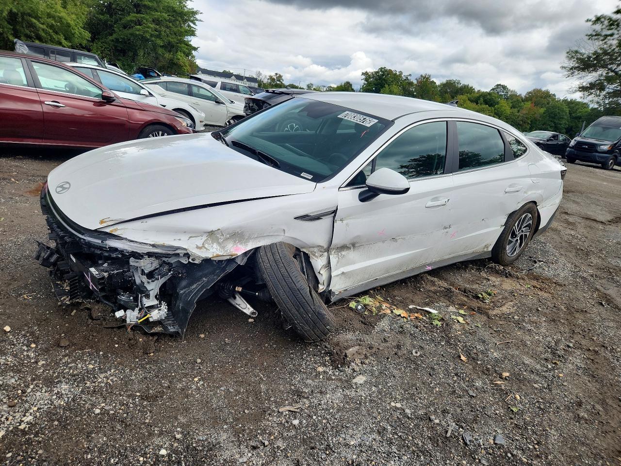 2026 HYUNDAI SONATA BLUE | KMHL24JJXTA161164 | UPCARS