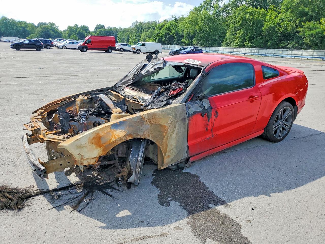 2013 FORD MUSTANG | 1ZVBP8AM4D5267121 | UPCARS