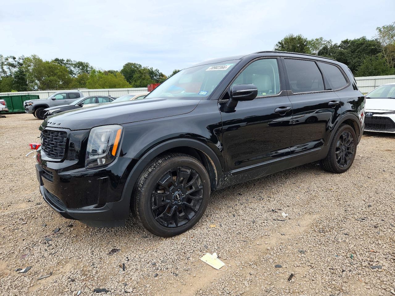 2022 KIA TELLURID EX | 5XYP3DHC1NG204206 | UPCARS