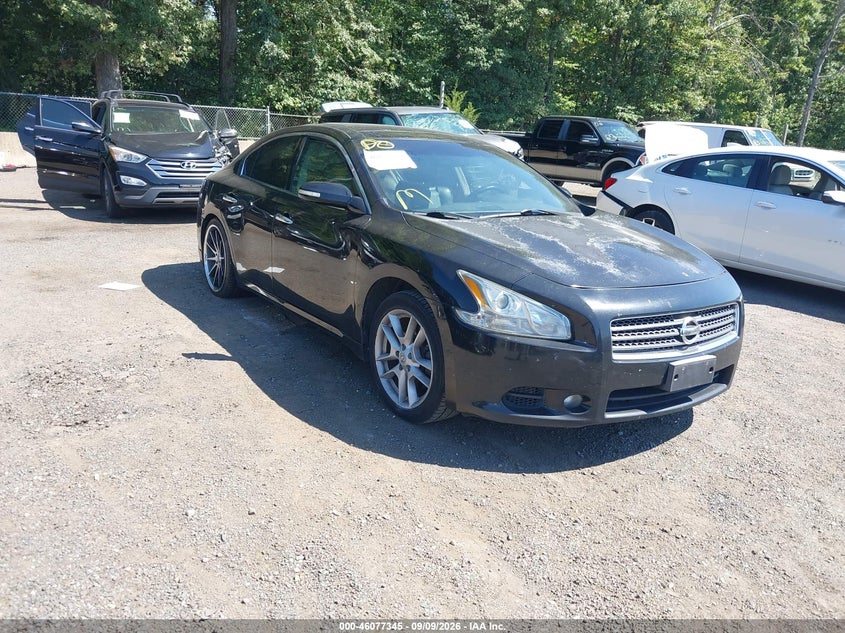 2010 NISSAN MAXIMA 3.5 SV | 1N4AA5AP5AC828366 | UPCARS