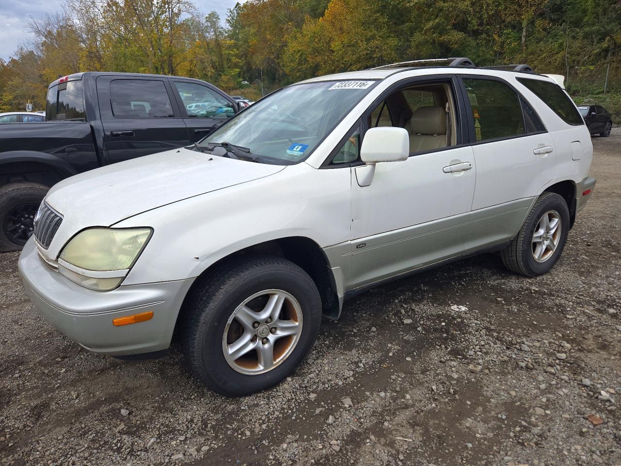 2001 LEXUS RX 300 | JTJHF10U910205034 | UPCARS