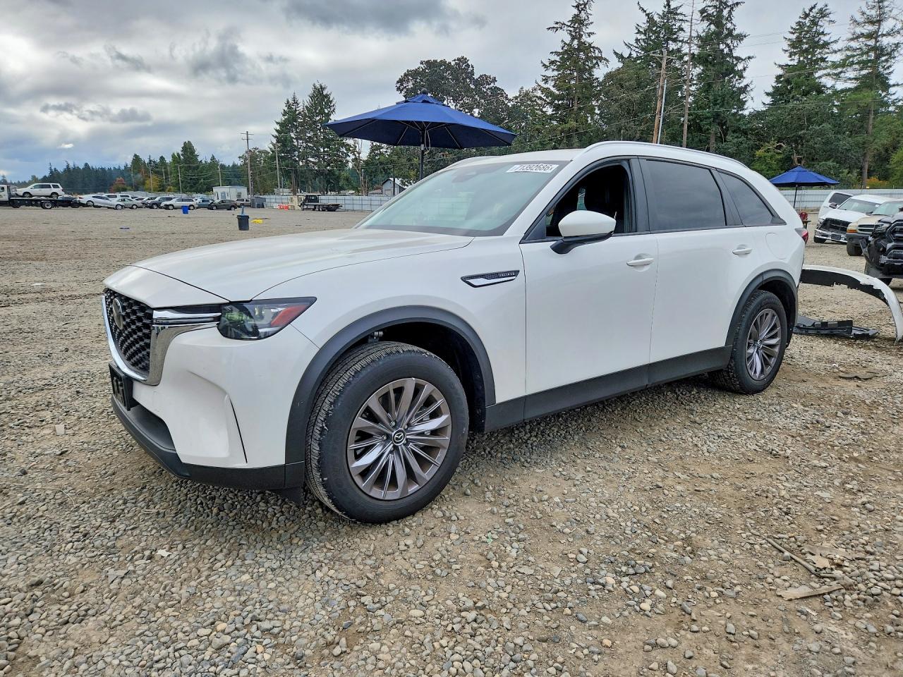 2025 MAZDA CX-90 SELECT | JM3KKAHD8S1216764 | UPCARS