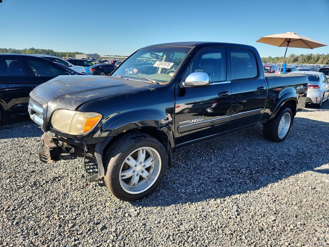 2006 TOYOTA TUNDRA DOUBLE CAB SR5 | 5TBET34136S560465 | UPCARS