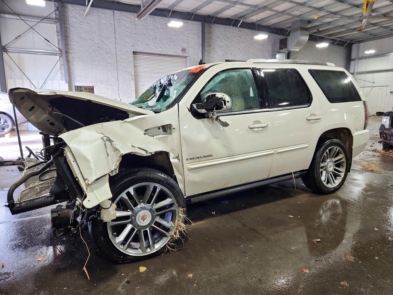 2013 CADILLAC ESCALADE PREMIUM | 1GYS4CEF0DR145045 | UPCARS