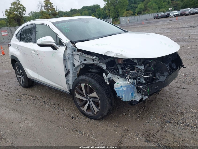 2019 LEXUS NX 300 | JTJBARBZ1K2202226 | UPCARS