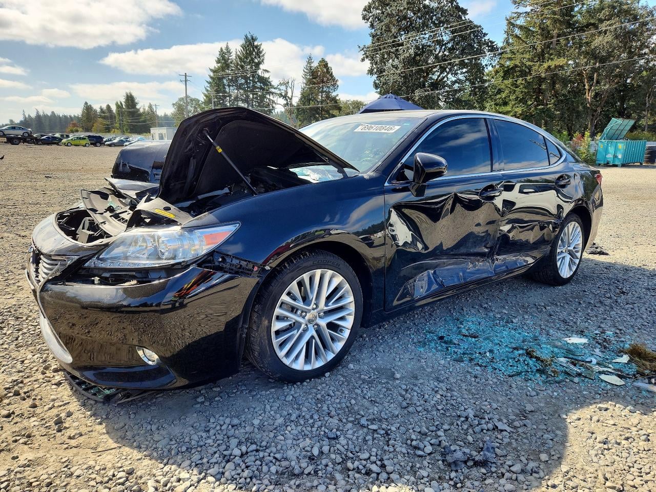 2014 LEXUS ES 350 | JTHBK1GG9E2124564 | UPCARS