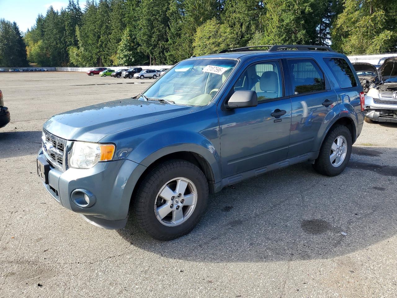 2011 FORD ESCAPE XLT | 1FMCU0D78BKB53964 | UPCARS