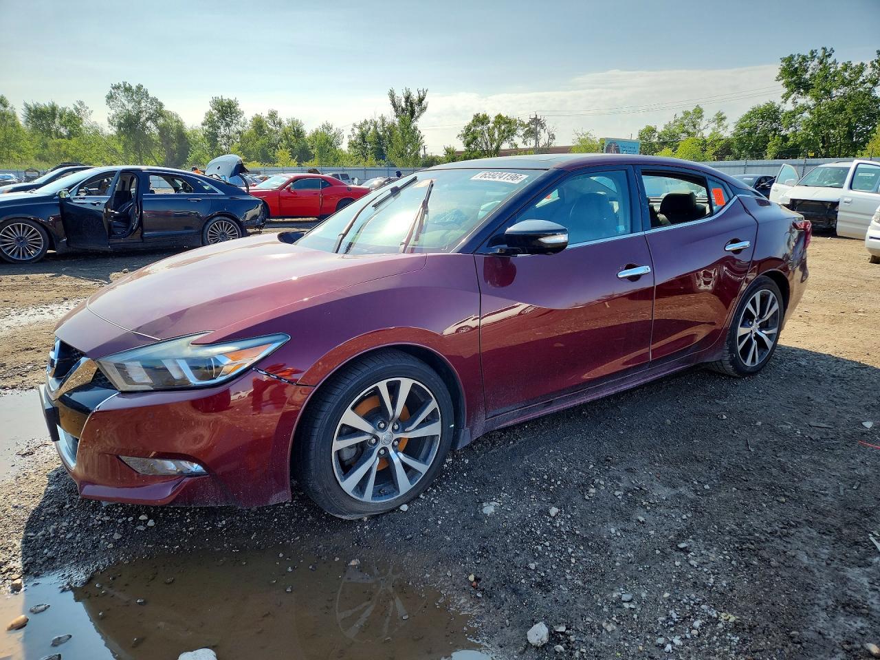 2017 NISSAN MAXIMA PLATINUM | 1N4AA6AP0HC394910 | UPCARS