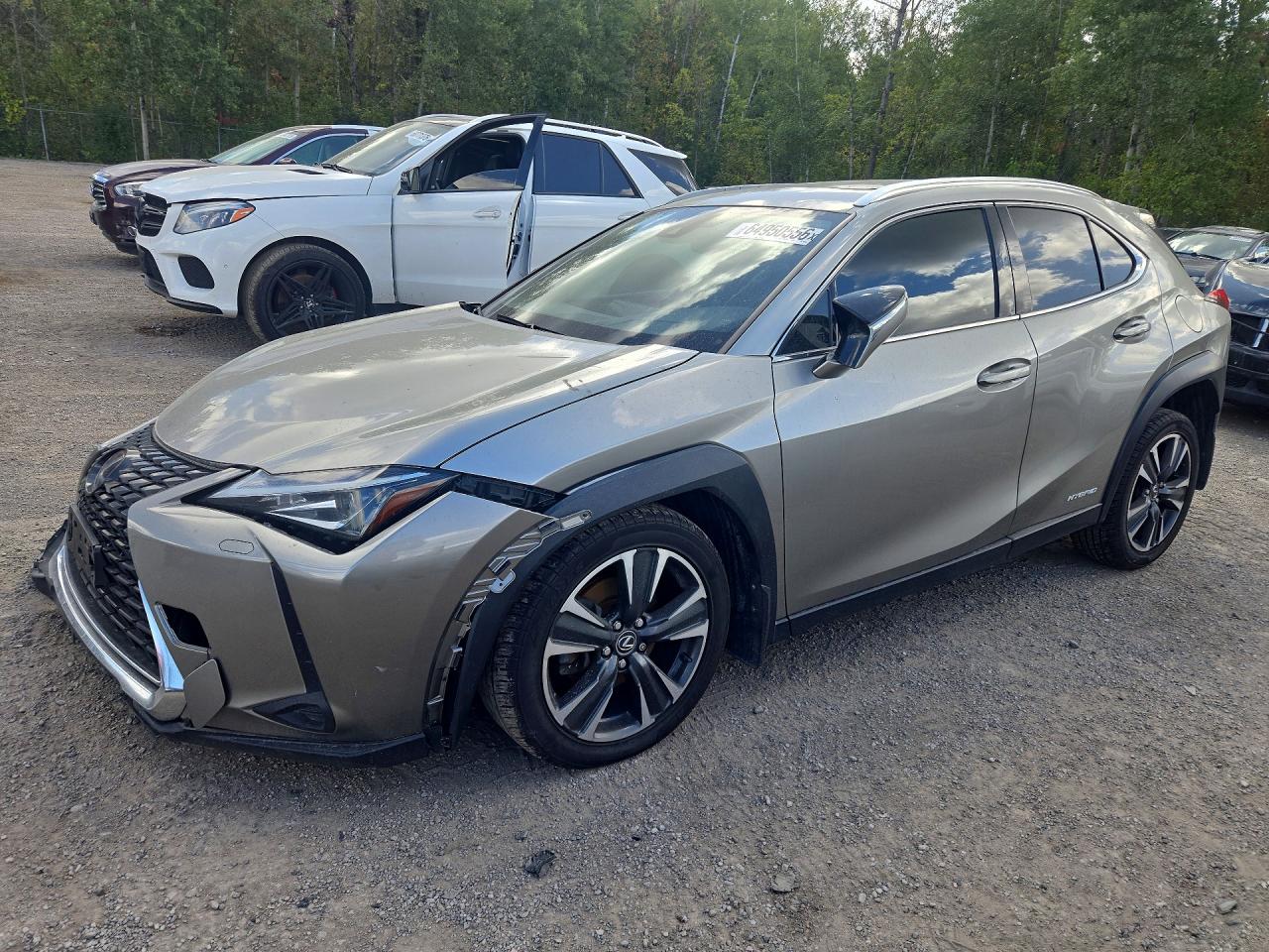 2019 LEXUS ALL OTHER 250H | JTHU9JBH8K2004383 | UPCARS