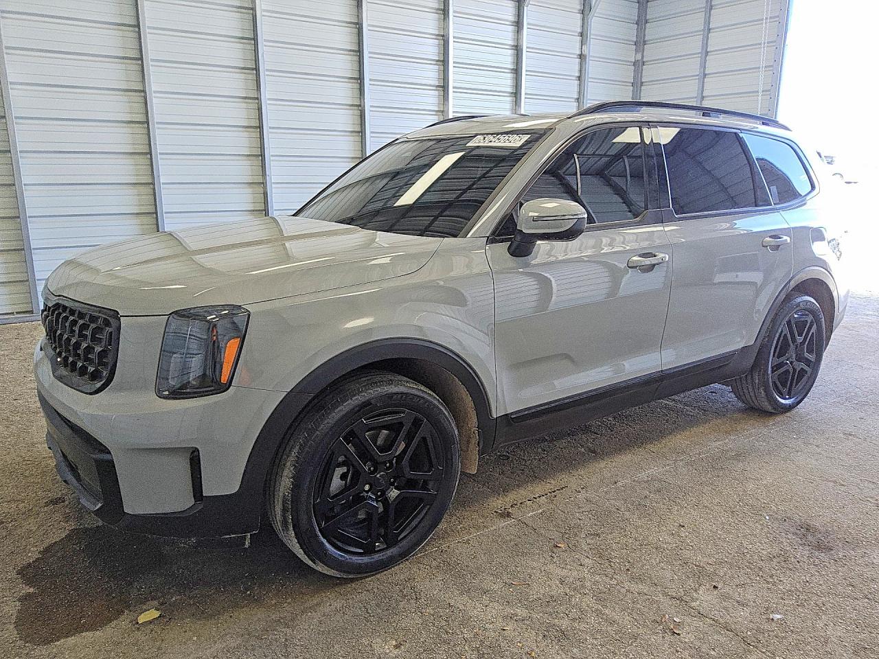 2025 KIA TELLURID EX X-LINE | 5XYP3DGC6SG603657 | UPCARS