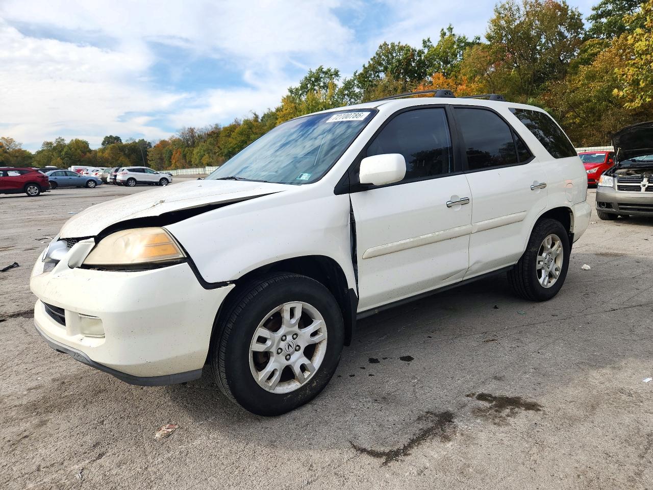 2006 ACURA MDX TOURING | 2HNYD18806H533066 | UPCARS