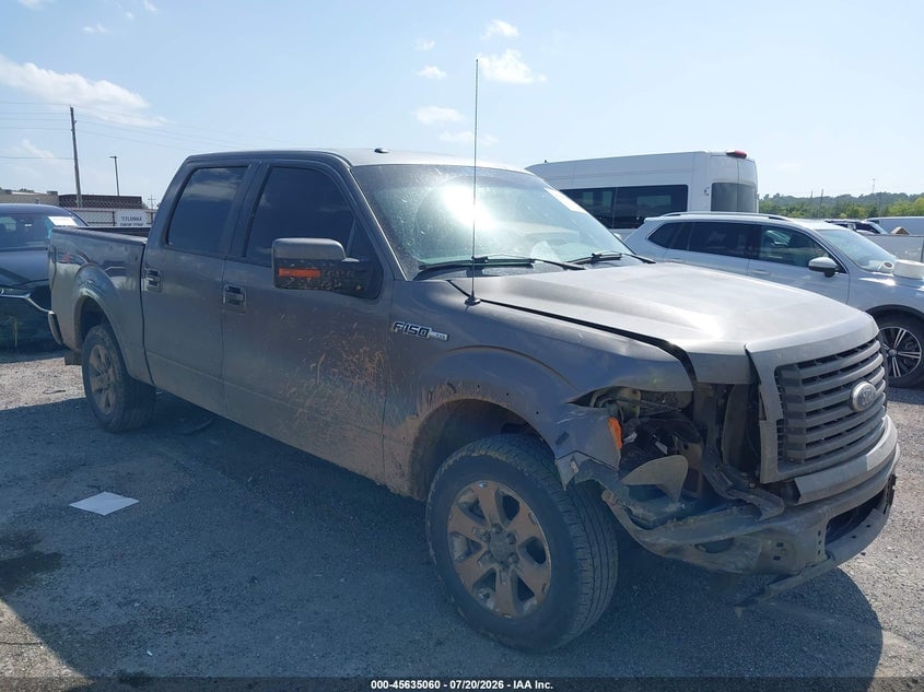 2010 FORD F-150 FX2 SPORT/XL/XLT | 1FTEW1C81AKE25616 | UPCARS