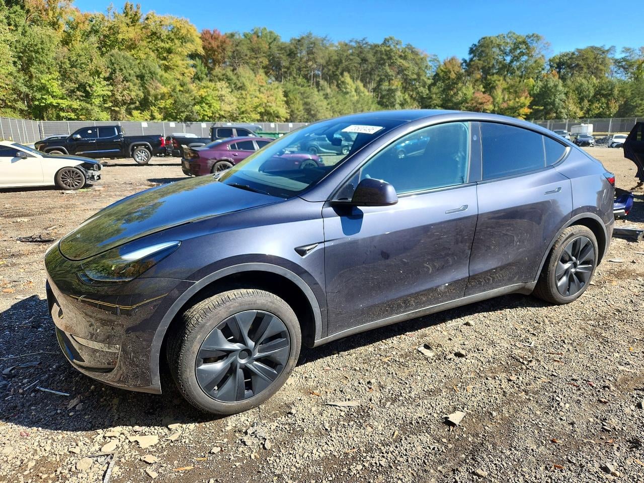 2025 TESLA MODEL Y | 7SAYGDEE4SA360144 | UPCARS