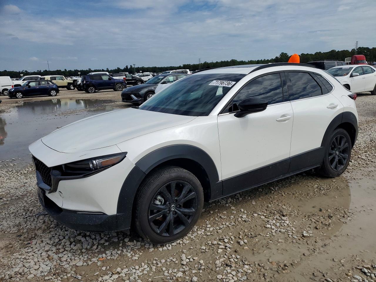2025 MAZDA CX30 PREMIUM | 3MVDMBDY0SM785023 | UPCARS