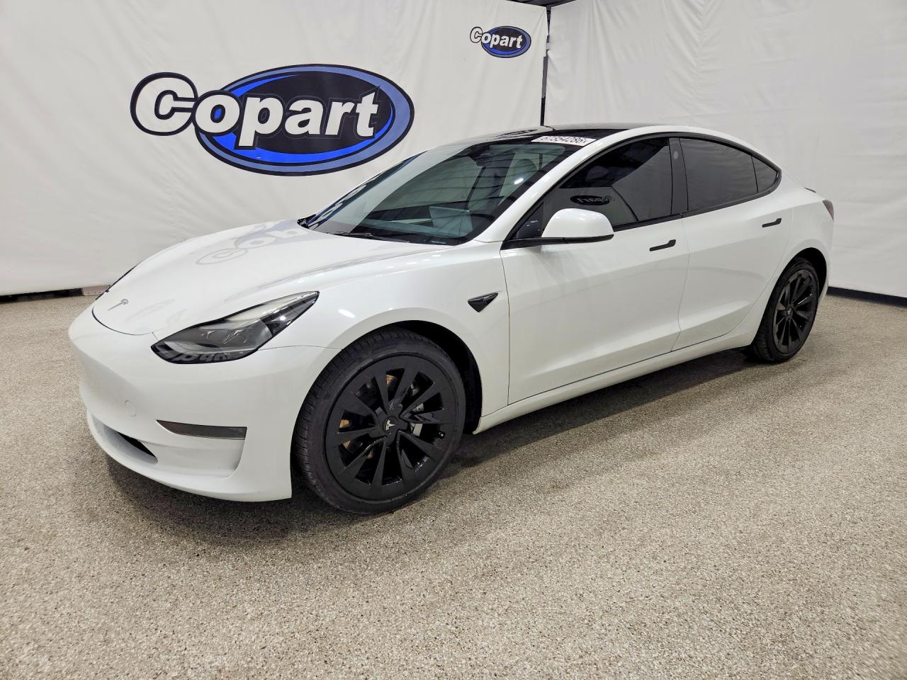 2023 TESLA MODEL 3 | 5YJ3E1EA3PF642164 | UPCARS