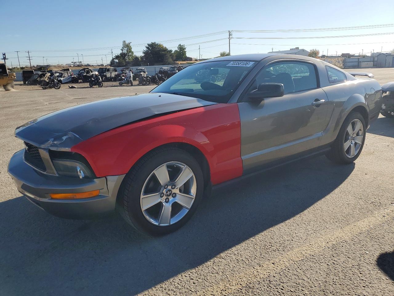 2005 FORD MUSTANG | 1ZVFT80N655188297 | UPCARS