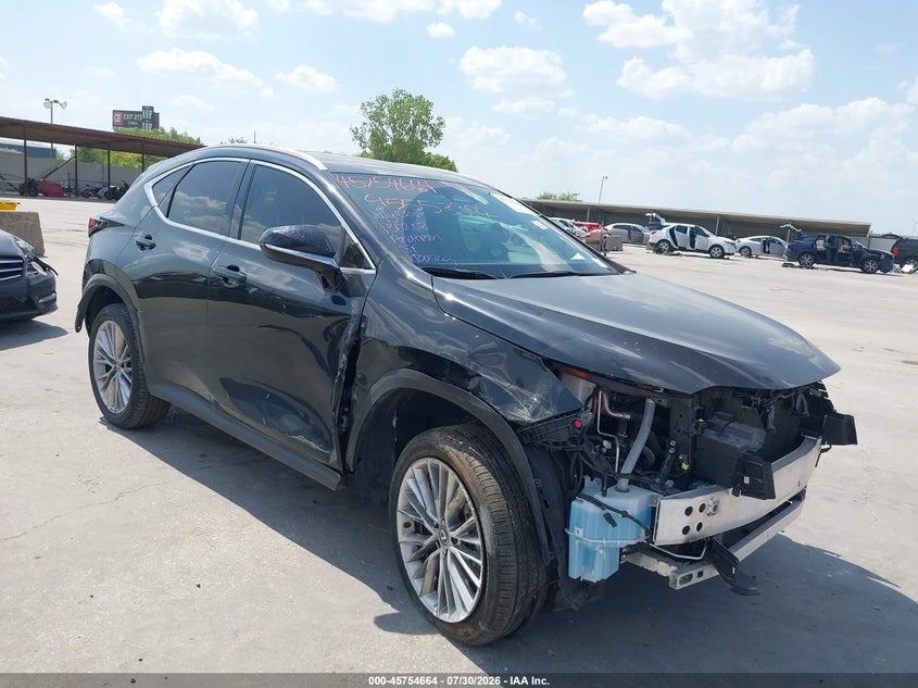 2025 LEXUS NX 350 PREMIUM | 2T2GGCEZ0SC081931 | UPCARS