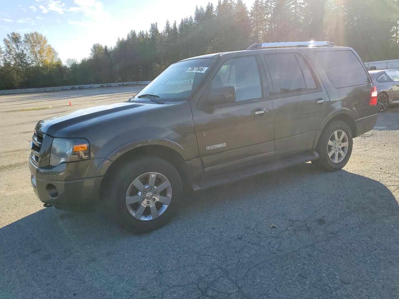 2008 FORD EXPEDITION LIMITED | 1FMFU20548LA50895 | UPCARS