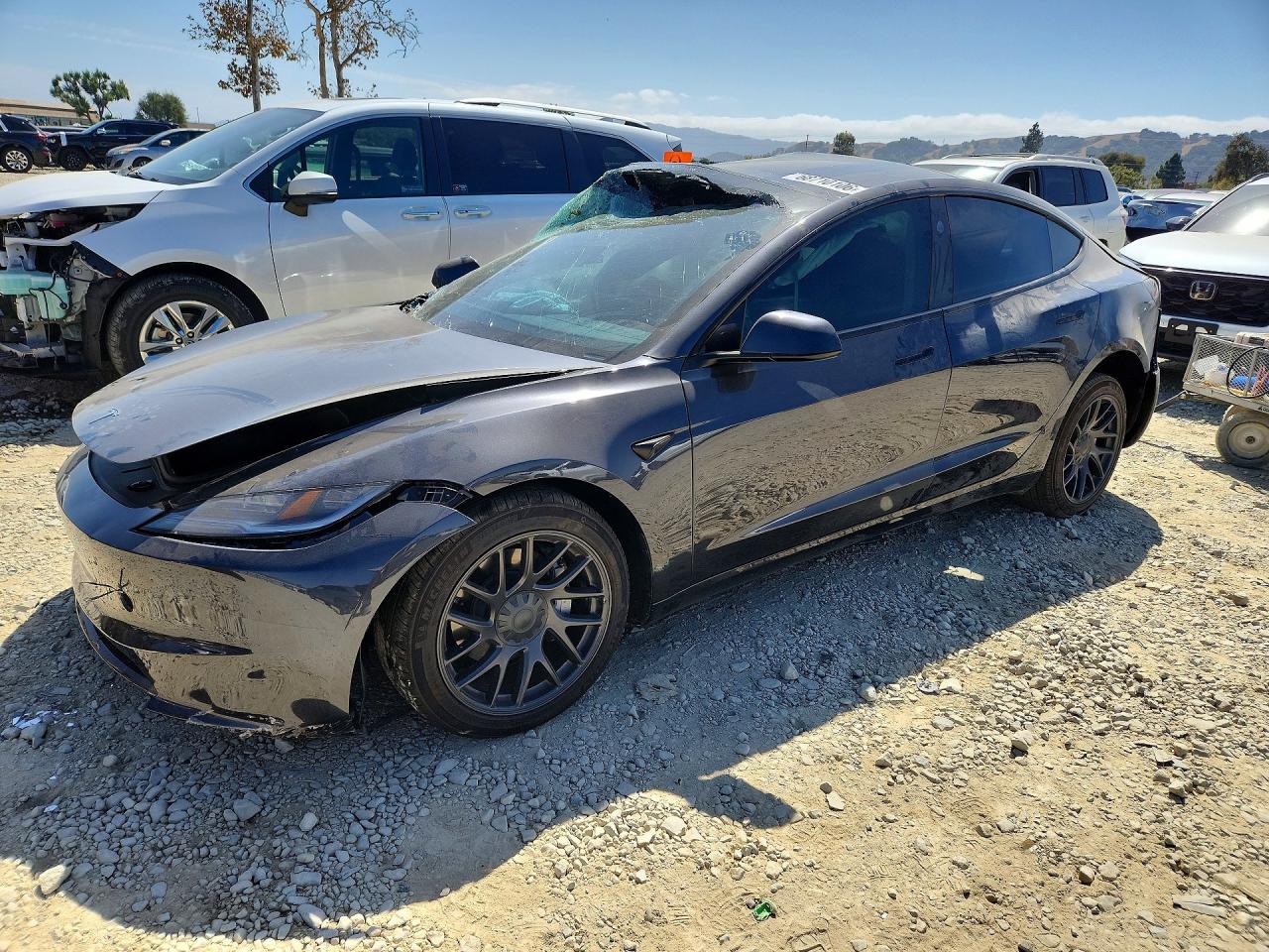 2025 TESLA MODEL 3 | 5YJ3E1EA7SF917074 | UPCARS