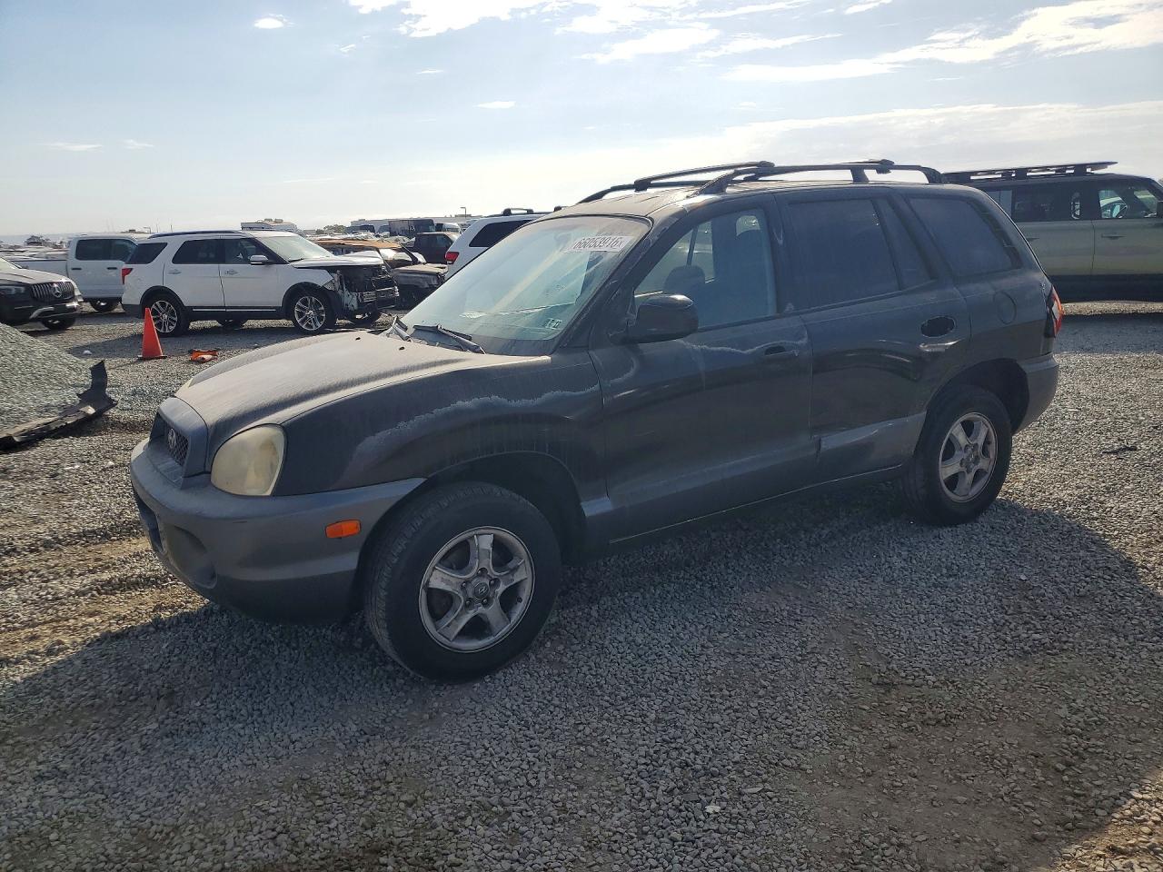 2004 HYUNDAI SANTA FE | KM8SB12B54U569587 | UPCARS