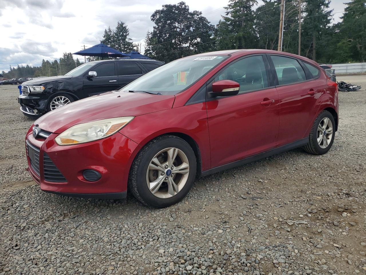 2014 FORD FOCU SE | 1FADP3K27EL144704 | UPCARS