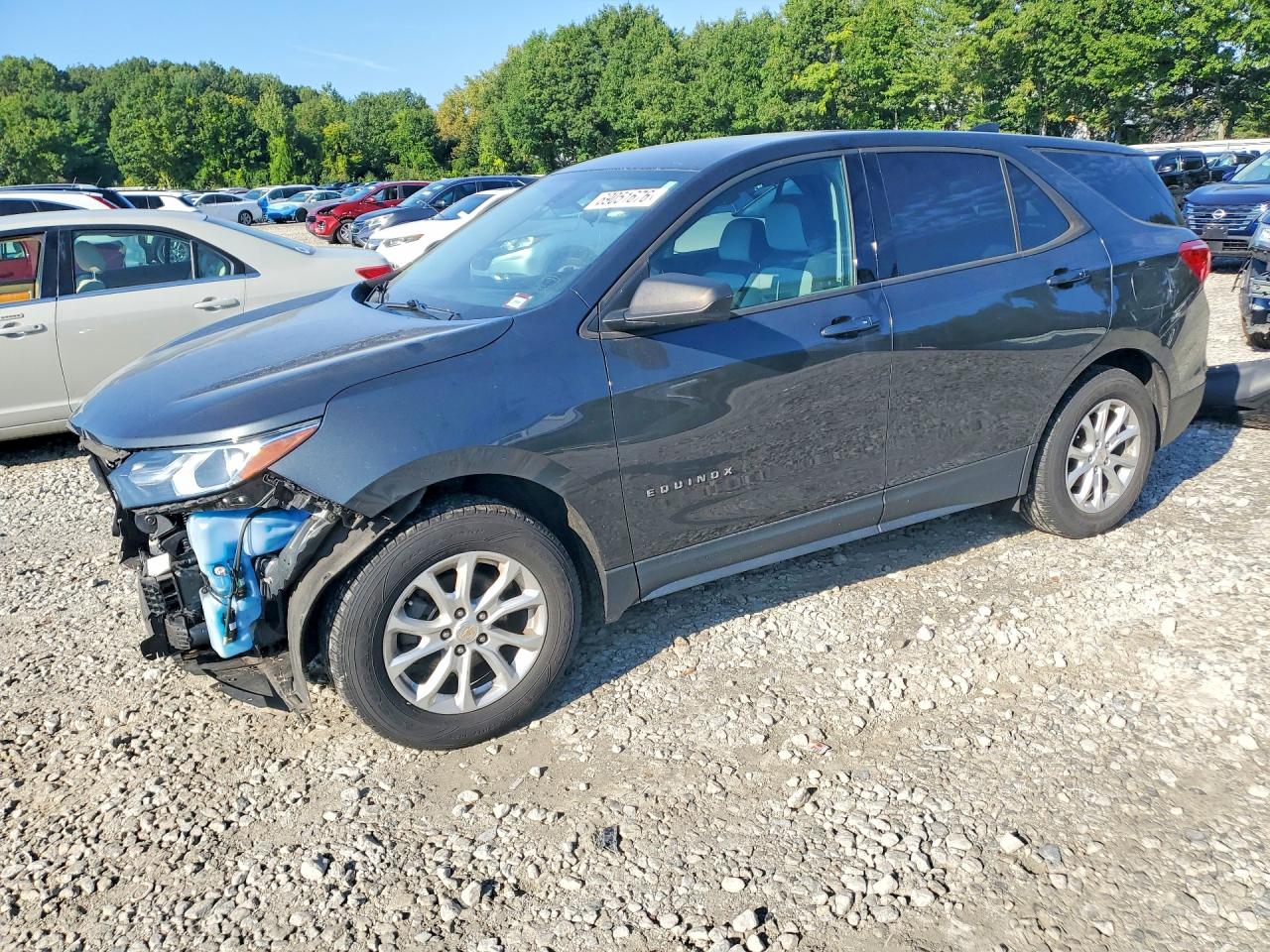2019 CHEVROLET EQUINOX LS | 2GNAXSEV5K6266213 | UPCARS