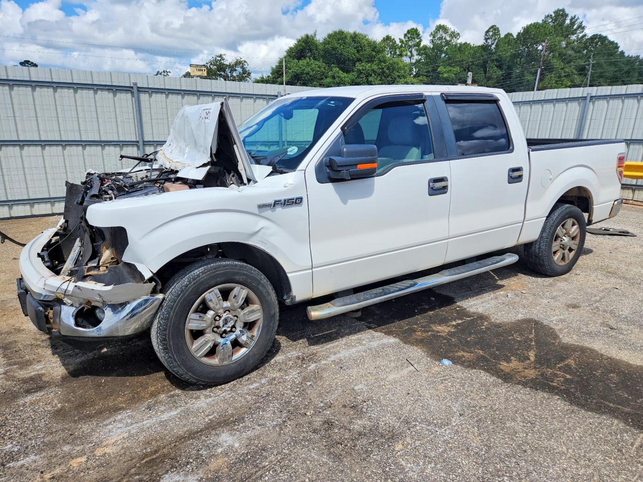 2010 FORD F150 SUPERCREW | 1FTEW1C86AFD50839 | UPCARS