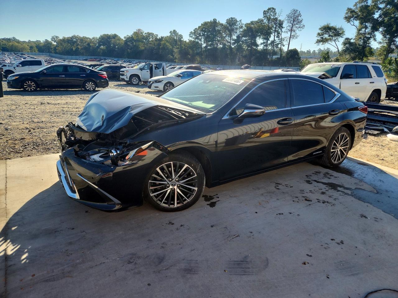 2022 LEXUS ES300 BASE | 58ADA1C14NU017610 | UPCARS