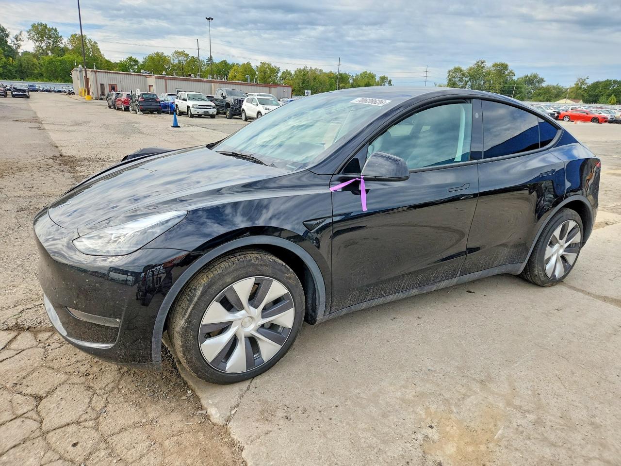 2024 TESLA MODEL Y | 7SAYGDEE9RA225784 | UPCARS