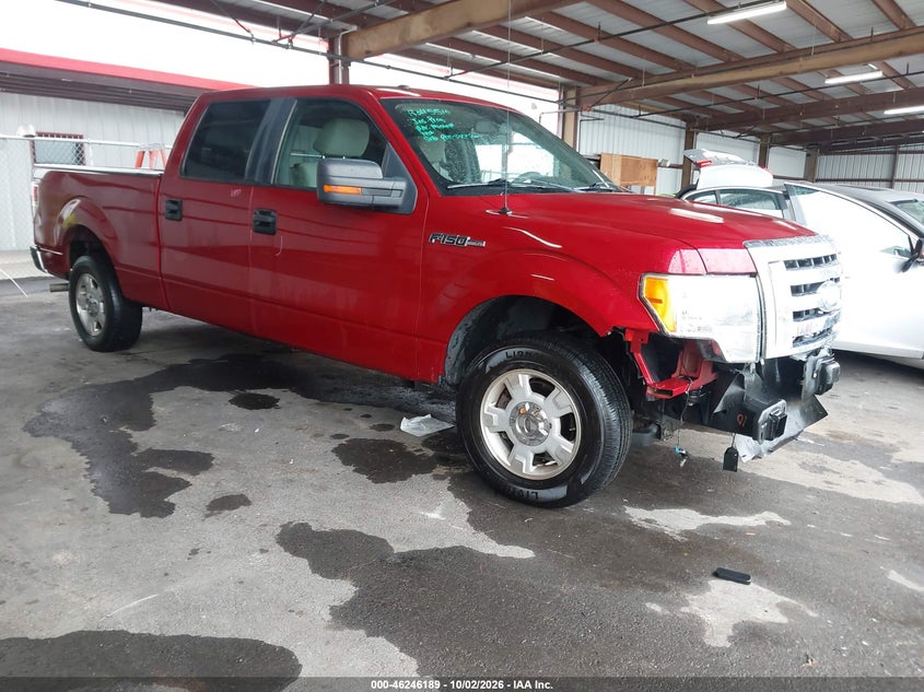 2009 FORD F-150 KING RANCH/LARIAT/PLATINUM/XL/XLT | 1FTPW12V69FA92012 | UPCARS