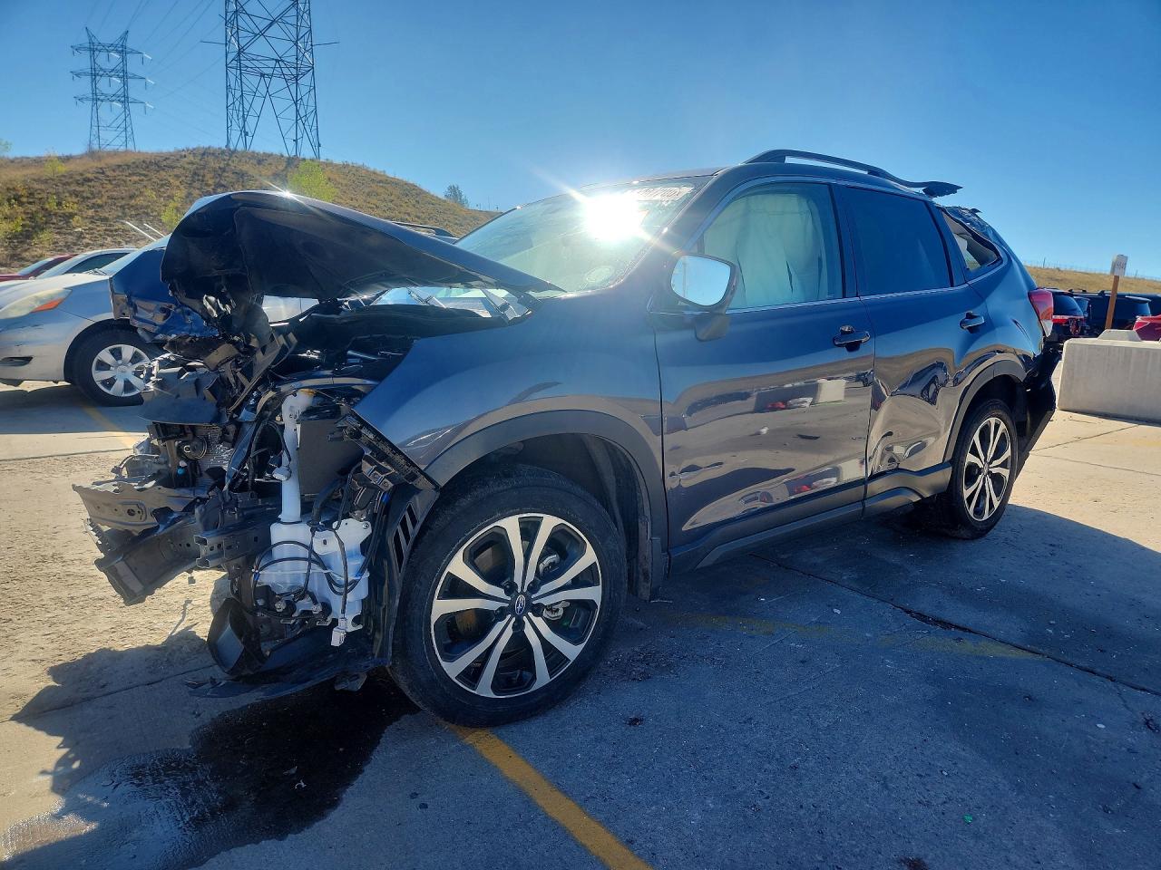 2020 SUBARU FORESTER LIMITED | JF2SKASC6LH478060 | UPCARS