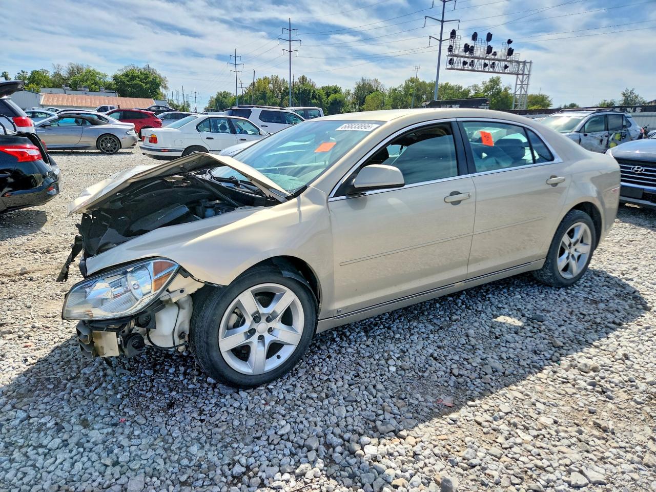 2009 CHEVROLET MALIBU 1LT | 1G1ZH57B39F169808 | UPCARS