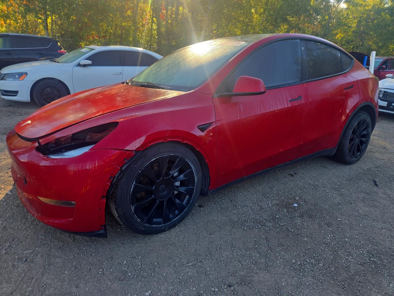 2022 TESLA MODEL Y | 7SAYGDEE2NF328414 | UPCARS