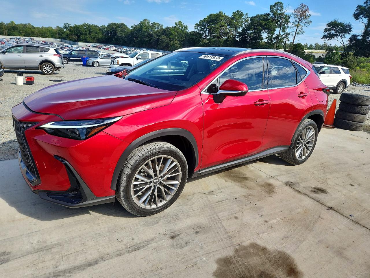 2026 LEXUS NX LUXURY | JTJHKCEZ8T2085472 | UPCARS