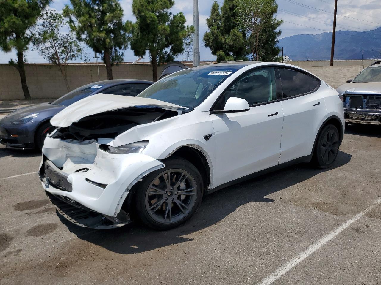 2024 TESLA MODEL Y | 7SAYGDEE7RF114721 | UPCARS