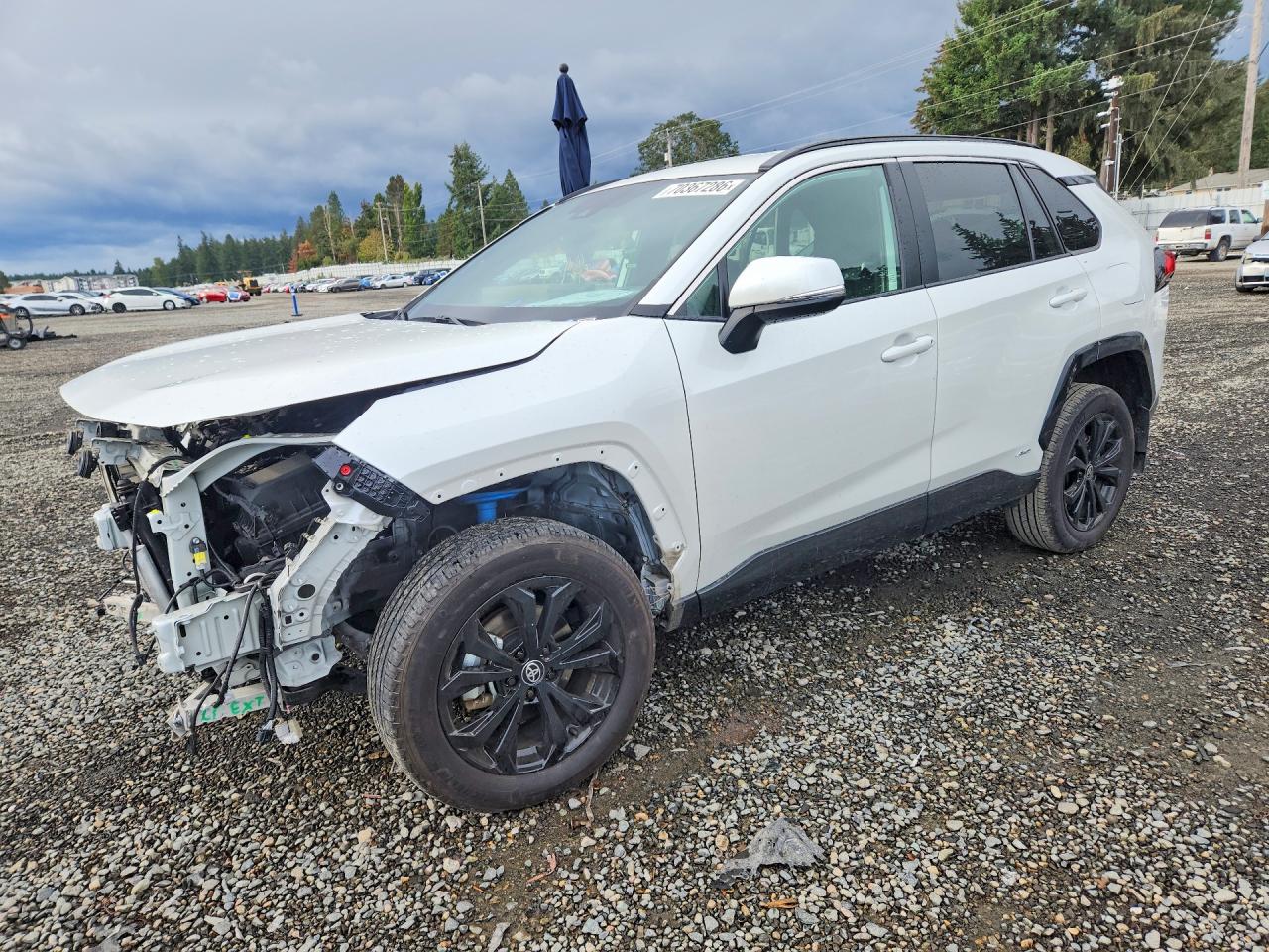 2024 TOYOTA RAV4 SE | 2T3T6RFV4RW075280 | UPCARS