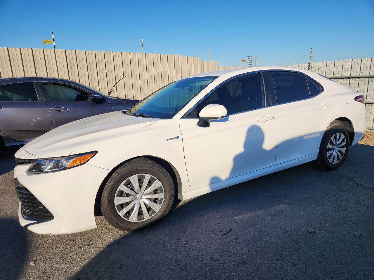 2019 TOYOTA CAMRY LE | 4T1B31HKXKU008822 | UPCARS
