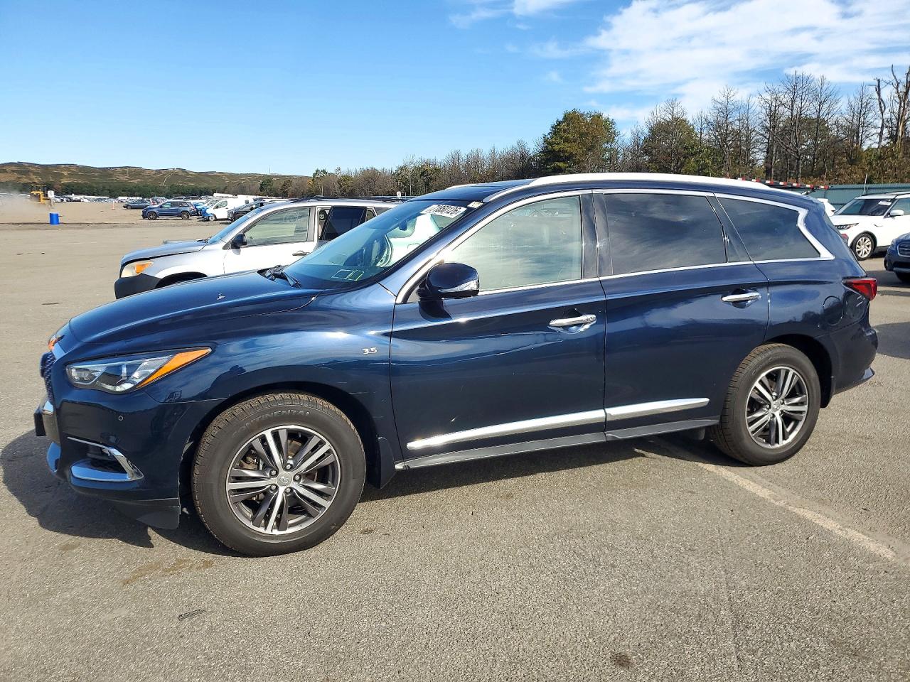 2019 INFINITI QX60 LUXE | 5N1DL0MM7KC552324 | UPCARS