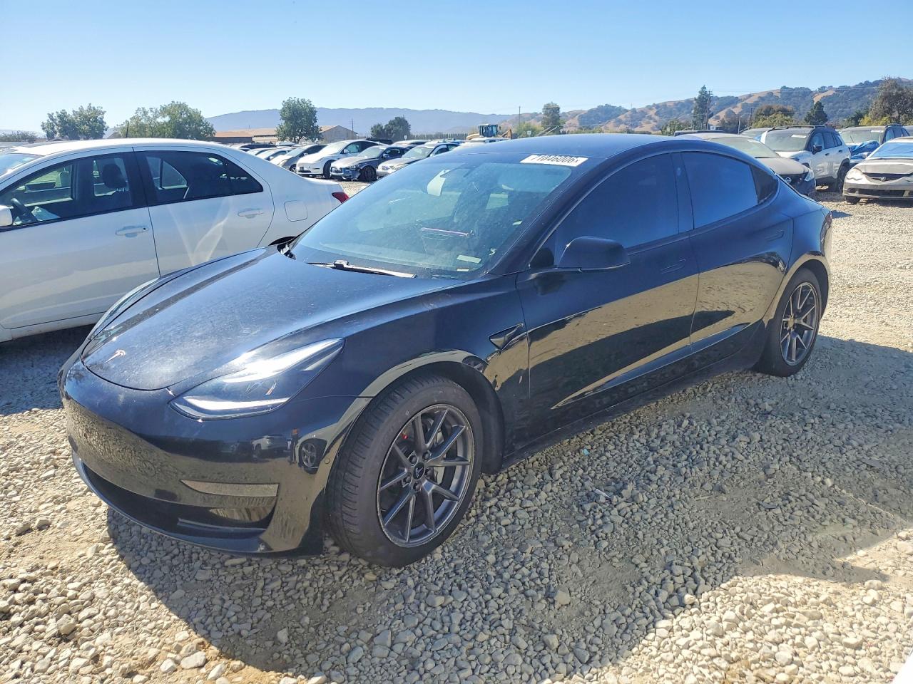 2021 TESLA MODEL 3 | 5YJ3E1EA1MF877707 | UPCARS