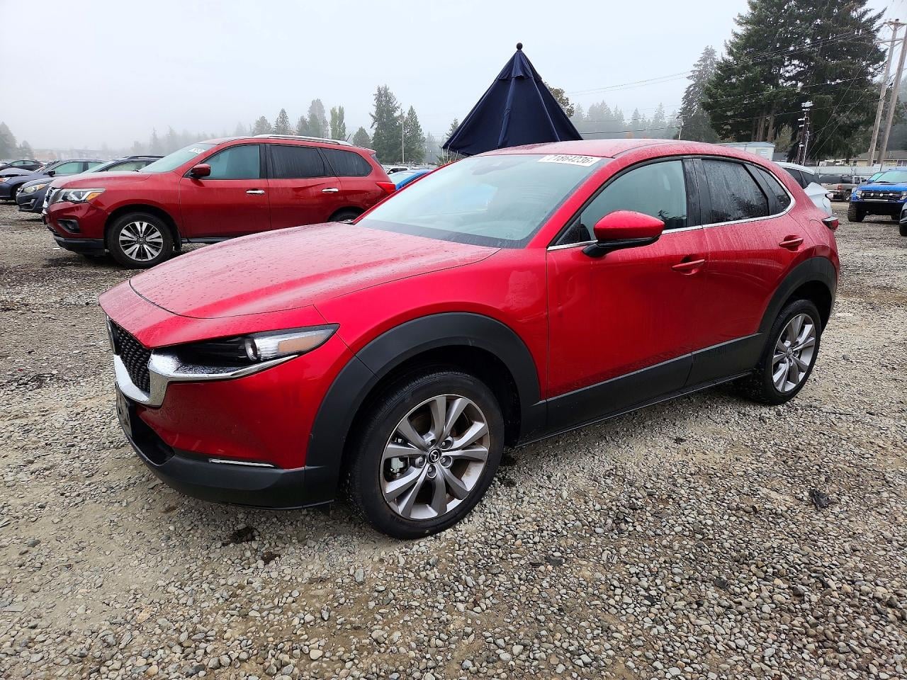 2021 MAZDA CX30 SELECT | 3MVDMBBLXMM318640 | UPCARS
