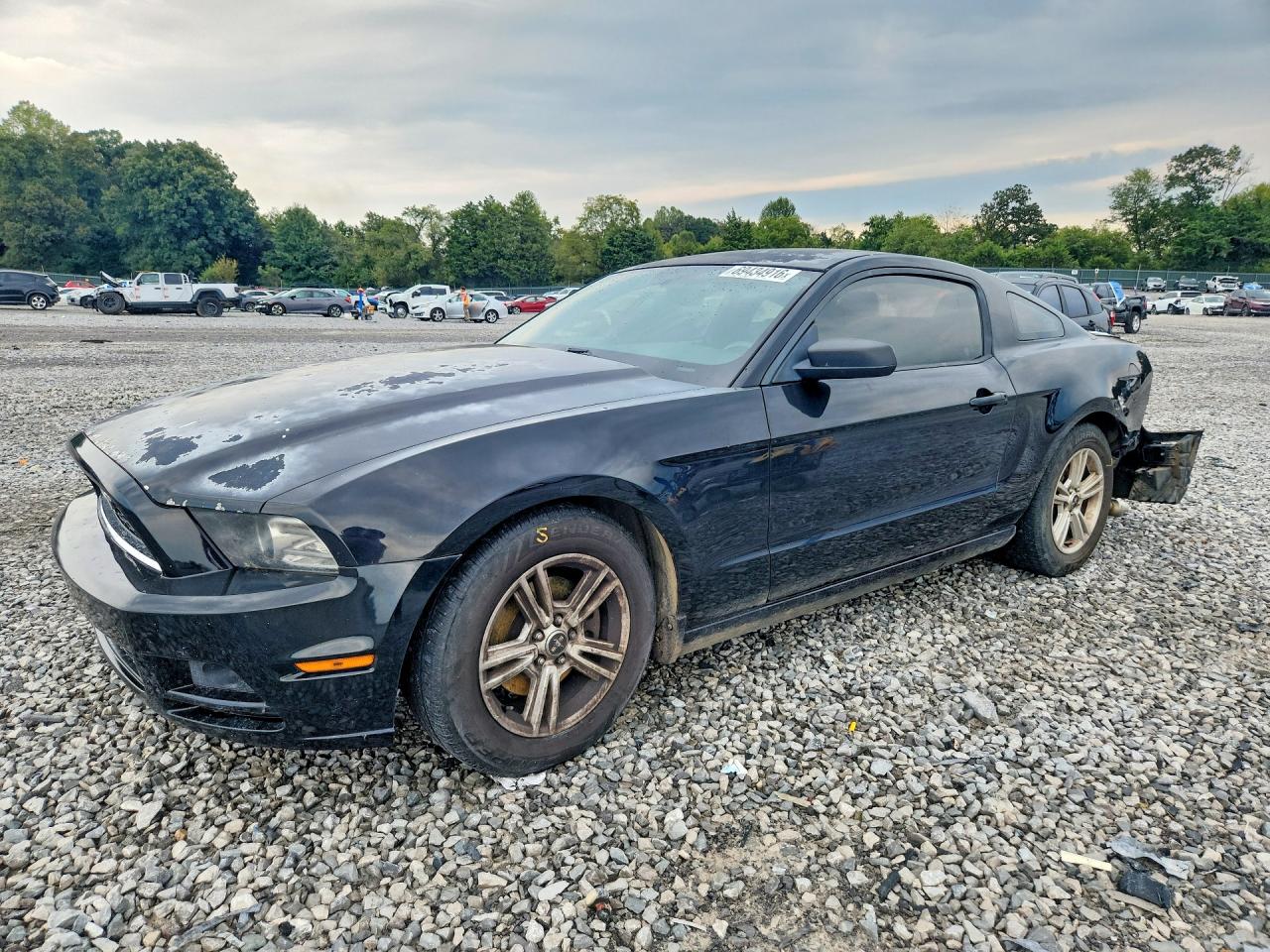 2014 FORD MUSTANG | 1ZVBP8AM0E5253377 | UPCARS